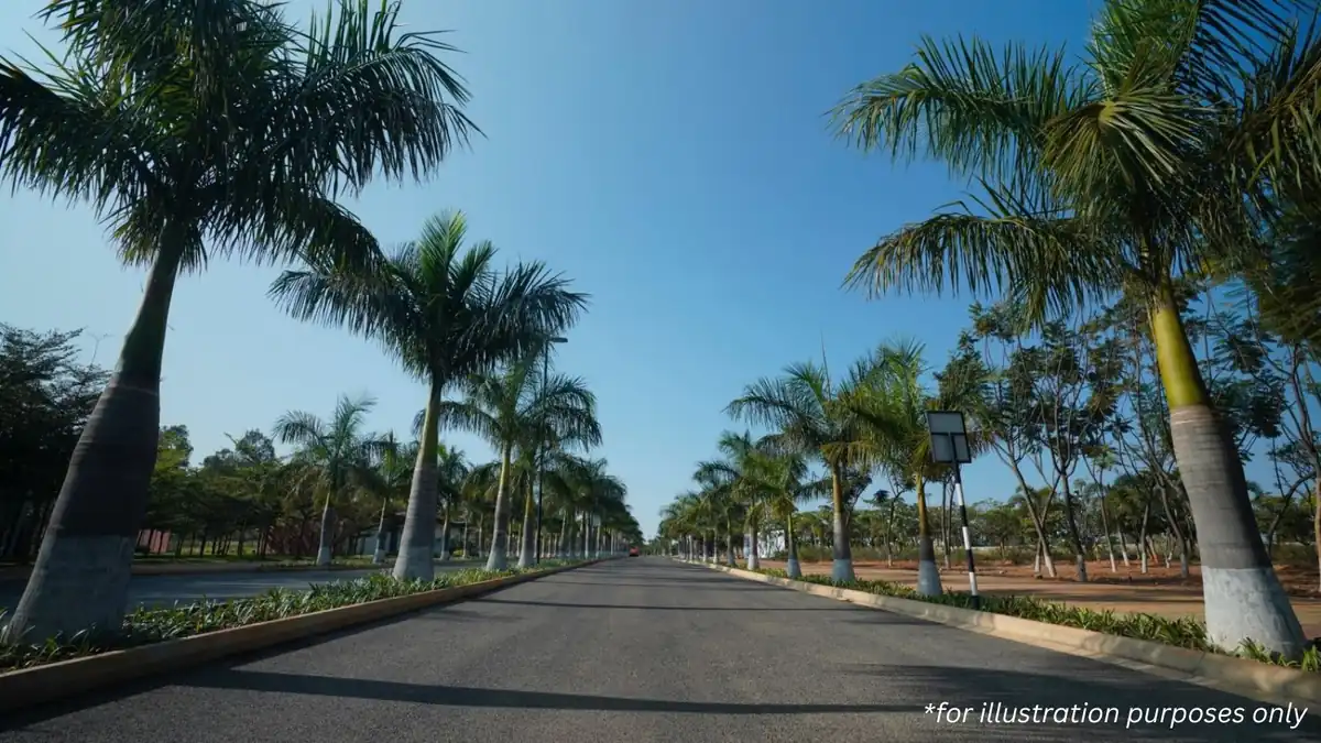 Palm-lined arrival avenue at Embassy Biome, Palm Jumeirah-inspired planning, North Bangalore